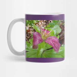 purple trillium #4 Mug